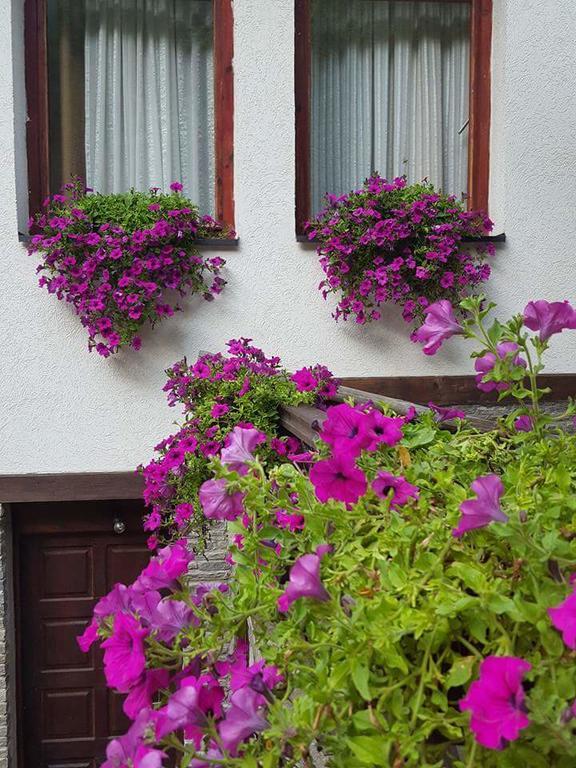 Villa Ana Marija Duracka Reka Dış mekan fotoğraf